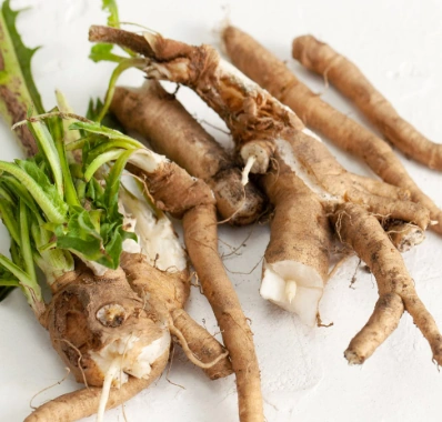 Chicory root inulin